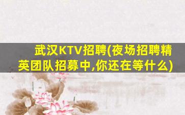 武汉KTV招聘(夜场招聘精英团队招募中,你还在等什么)